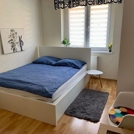 Apartament Joanna Parter Blisko Onkologii I Strefy Ekonomicznej Gliwice Buitenkant foto