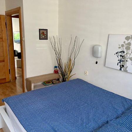 Apartament Joanna Parter Blisko Onkologii I Strefy Ekonomicznej Gliwice Buitenkant foto