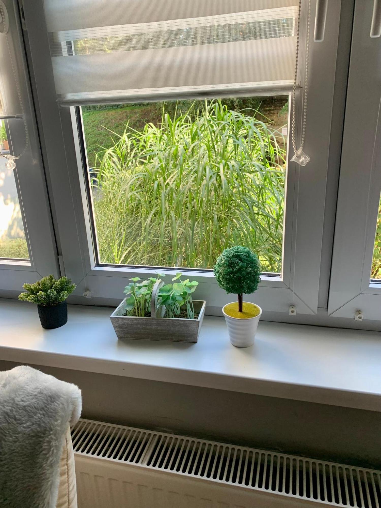 Apartament Joanna Parter Blisko Onkologii I Strefy Ekonomicznej Gliwice Buitenkant foto